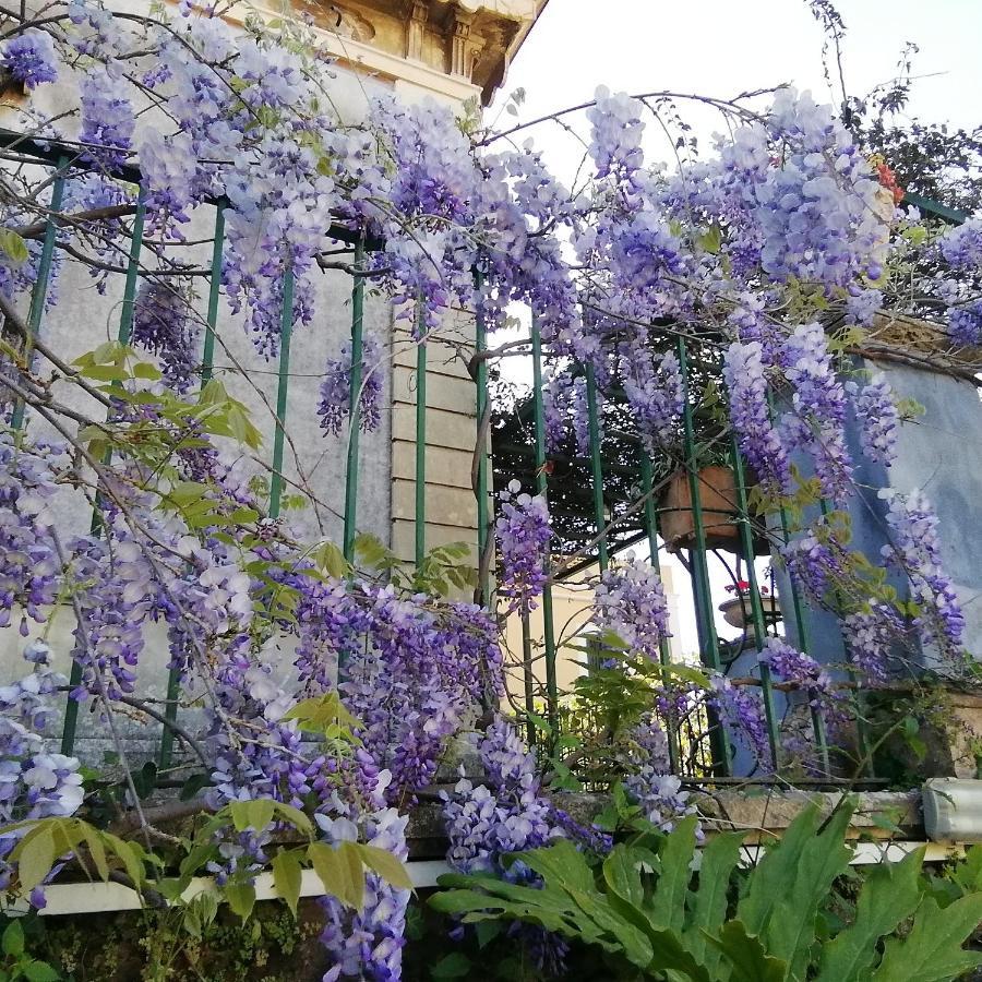 Villa Manasse Ачи Кастело Екстериор снимка